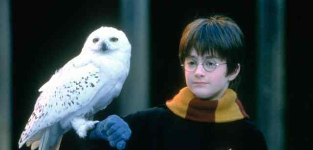 魔法生物 盘点：《哈利·波特》里出镜的40个魔法生物，都是童年回忆
