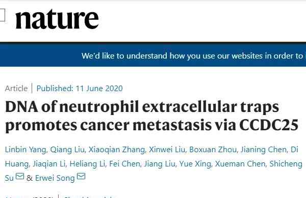 宋尔卫 中山大学宋尔卫等揭示中性粒细胞胞外捕获物促进癌症转移的机制