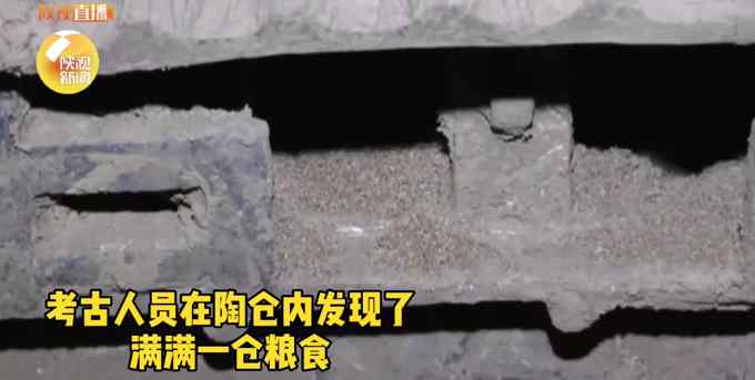 罕见！ 陕西汉墓现罕见陶仓装满小米 网友：还能种出来吗？
