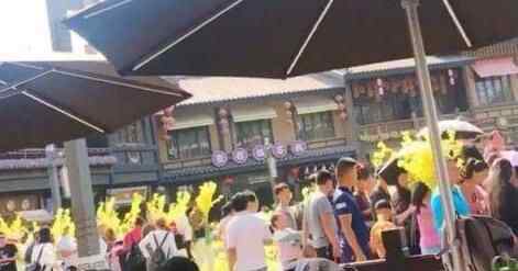 游客哄抢展览花 为什么哄抢究竟是怎么回事？