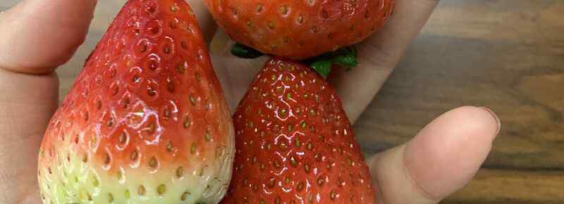 草莓能减肥吗