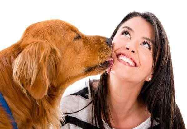 狗狗为什么喜欢舔人的手 为何狗狗喜欢舔人？ 原来它是想告诉你这些事！