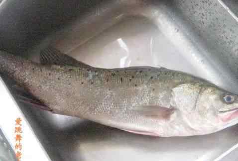 海鲈鱼做法 清蒸海鲈鱼做法和配方 清蒸海鲈鱼做法详细步骤