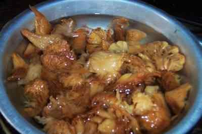 干猴头菇怎么吃最好 猴头鸡骨莲藕煲的简单做法 猴头鸡骨莲藕煲食谱简单做法