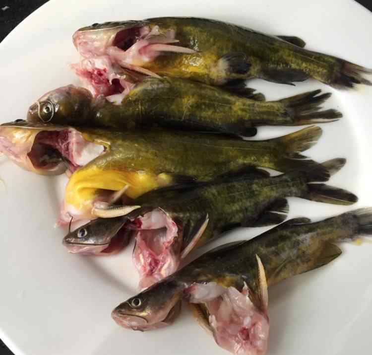 黄骨鱼汤的做法 黄骨鱼汤怎么做好吃 黄骨鱼汤做法和材料