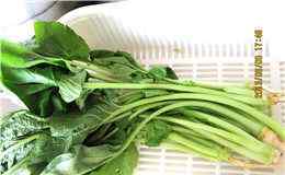 苔菜怎么做好吃 苔菜苹果汁的做法 苔菜苹果汁做法及配料