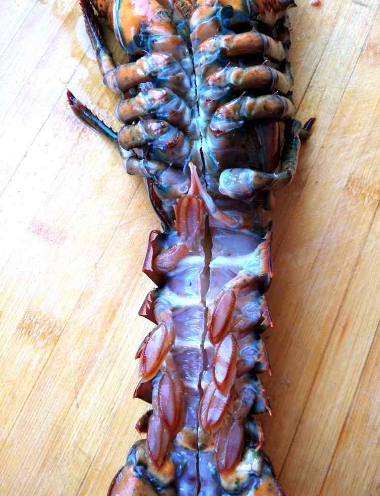 芝士焗龙虾 芝士焗龙虾的家常做法 芝士焗龙虾食谱简单做法