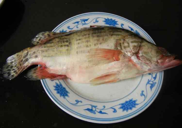桂花鱼的做法 桂花鱼的最正宗做法 桂花鱼做法详细步骤
