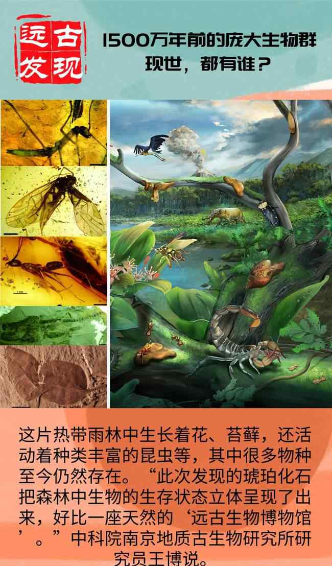 1500万年前的庞大生物群现世 究竟发生了什么?