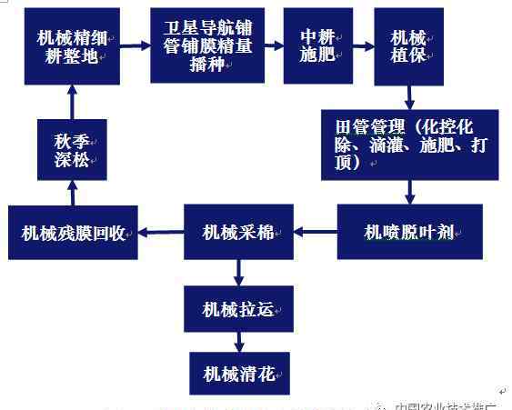 棉花采摘机 棉花采摘及残膜回收机械化技术集成示范