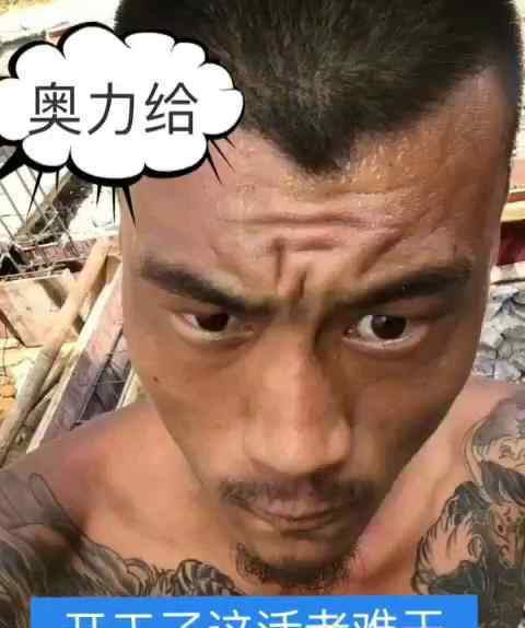 双叶湖雷哥 奥利给是什么意思