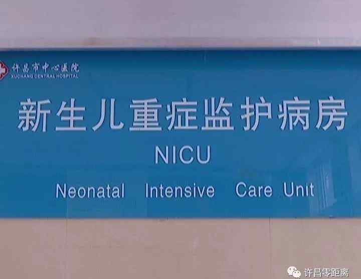 nicu病房是什么意思 带你走进儿童重症监护病房，揭开NICU的神秘面纱