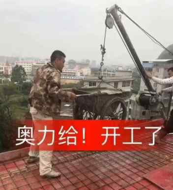 双叶湖雷哥 奥利给是什么意思