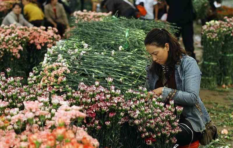 花卉市场批发 中国九大花卉批发市场，一年四季花飘香，年年岁岁花不同哦