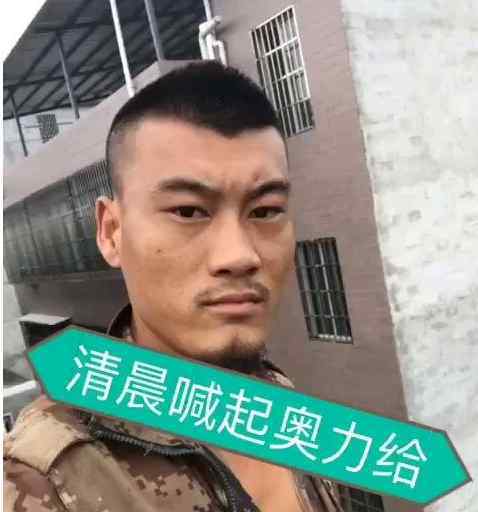 双叶湖雷哥 奥利给是什么意思