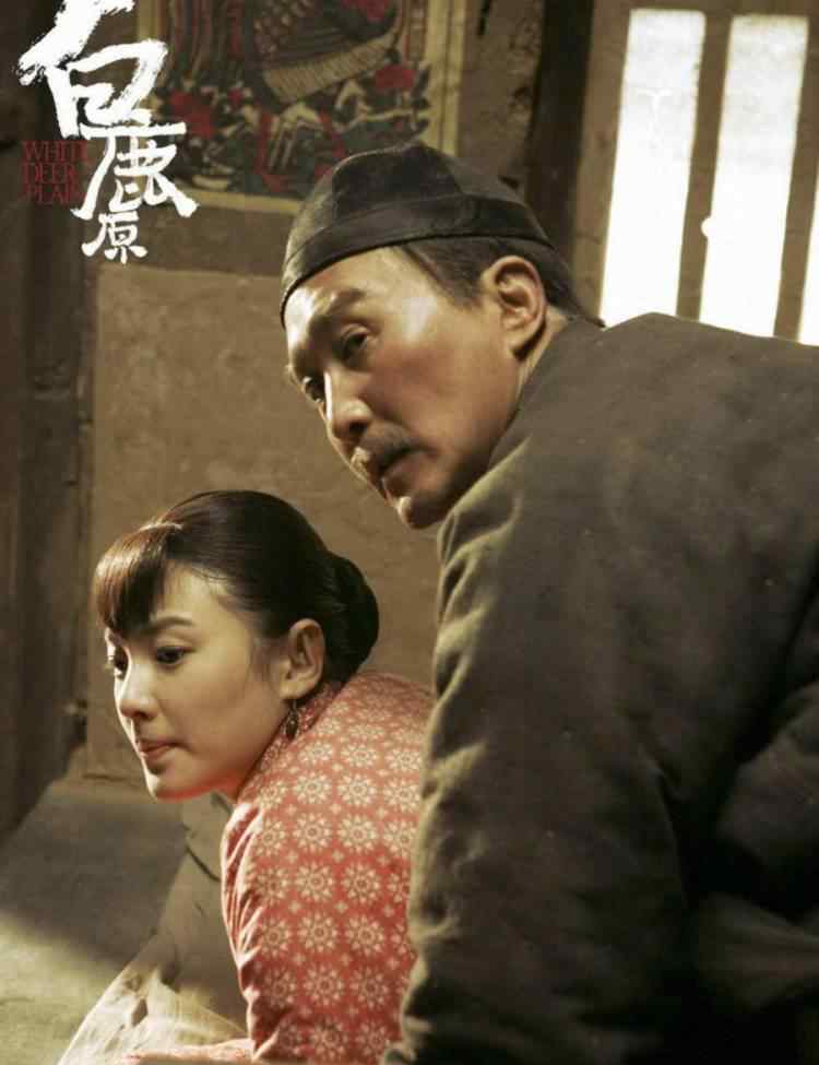 里白 《白鹿原》里白家和鹿家的两种命运走向，从家族观念就已经注定了