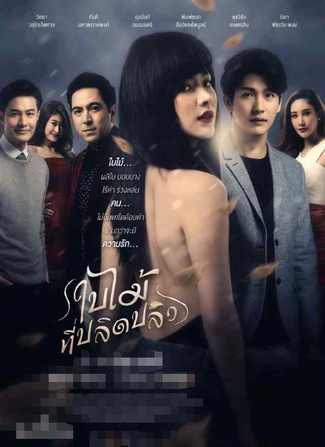 泰国爱情电视剧 安利5部高热度的泰国爱情剧，每一部都百看不厌，你看过哪一部？