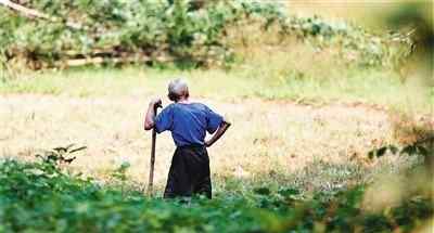 农村老年人养老问题 农村老人：“孩子靠不住，地种不了”他们如何面对养老问题？
