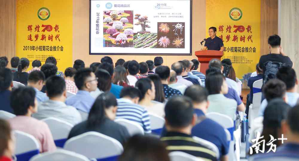 小榄菊花展 2019小榄菊花会11月22日开幕，快收好这份赏菊攻略