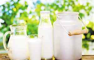 超市哪种牛奶适合孕妇 纯牛奶，酸奶，孕妇奶粉，哪一种是最适合孕妇的乳制品？