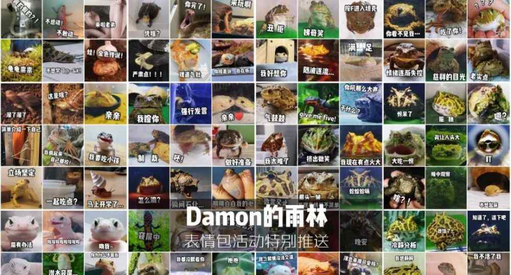 繁殖的主犯 震惊！国家一级保护动物“繁育基地”被捣毁！