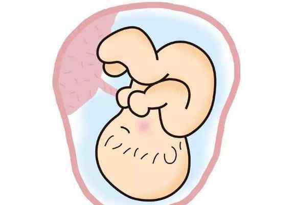 有胎心了孕囊旁有积液 孕囊旁有积液怎么回事？孕囊积液多大必须流产？