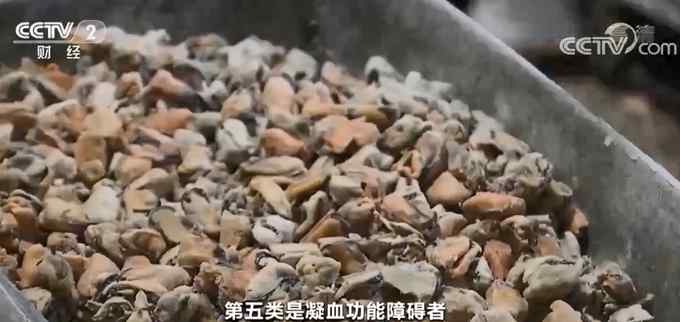 多地发布海虹织纹螺预警 毒素超标至少两倍！专家：若中毒无特效治疗药物文章配图