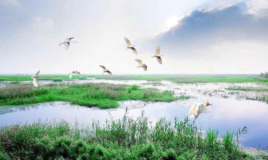 泗州城 徐宜业：故乡的洪泽湖