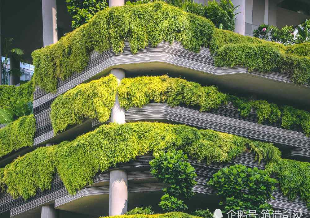 生态建筑 新加坡：领衔生态建筑，精美绝伦