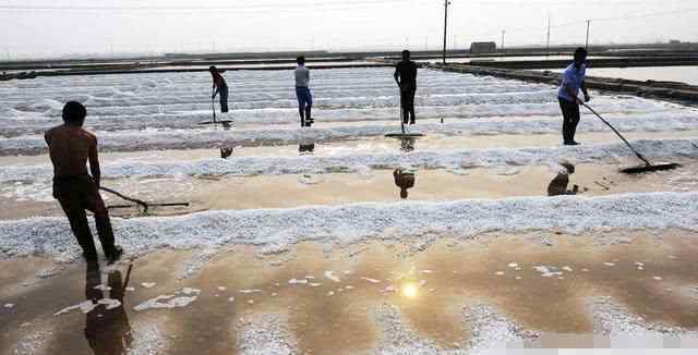盐碱地形成 为什么耕地用黄河水长期灌溉会形成盐碱地？罪魁祸首竟然是“只进不出”