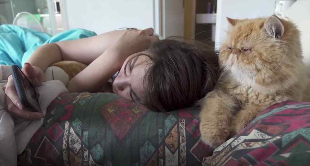 猫睡床上有细菌吗 可以跟猫咪一起睡觉吗？会不会传染疾病呢？