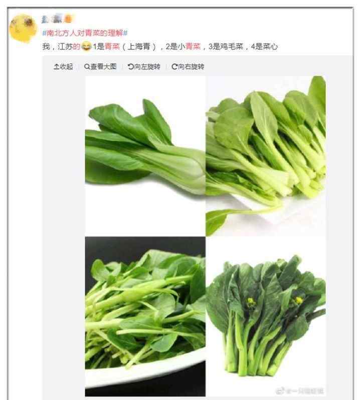 绿叶菜有哪些品种 有叶子的就可以叫青菜？杭州人坚决说不！你口中的青菜是什么品种？