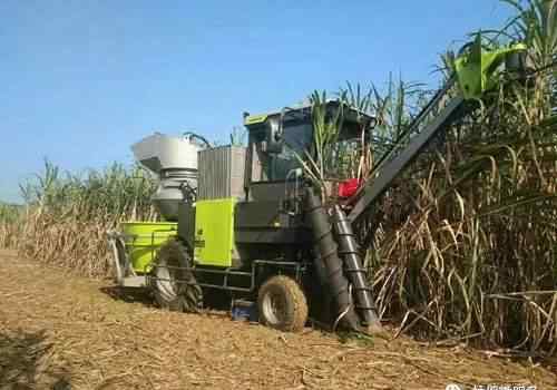 甘蔗收割机 甘蔗收割机在扶绥农村广受欢迎，越南“砍蔗队”后续可能失业……