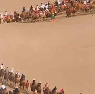 游客敦煌旅游拍到壮观一幕 看呆网友：见过堵车的 这是堵骆驼？