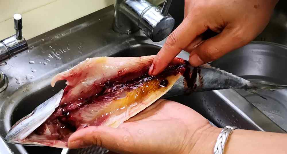 酱焖鲅鱼 酱焖鲅鱼时，只加豆瓣酱是大错特错！教你特色农家做法，上桌就光