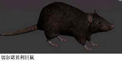 切尔诺贝利巨鼠事件 传言中的切尔诺贝利巨鼠，究竟是谣言，还是真的存在？