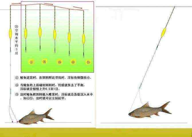 如何钓鲮鱼 如何在各种钓场-钓鲮鱼
