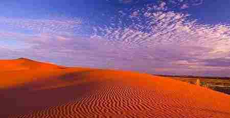 美丽的红色沙漠 美丽的红色沙漠 澳大利亚辛普森沙漠