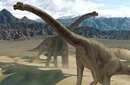 最大的恐龙 史上最大的恐龙