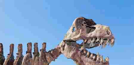 世界上最后的10只恐龙 地球上最后的恐龙