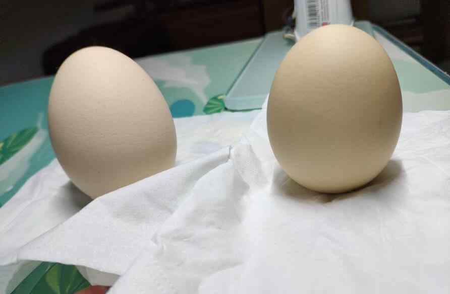 鸡蛋怎么立起来 立鸡蛋驱鬼魂是真的么，竖鸡蛋叫魂什么原理？