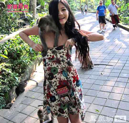泼猴 女子被泼猴解开比基尼现场图,猴子当宠物养行不行女子被泼猴解开比基尼现场图,猴子当宠物养行不行