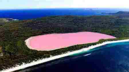 塞内加尔的玫瑰湖 塞内加尔玫瑰湖十分浪漫的求婚圣地