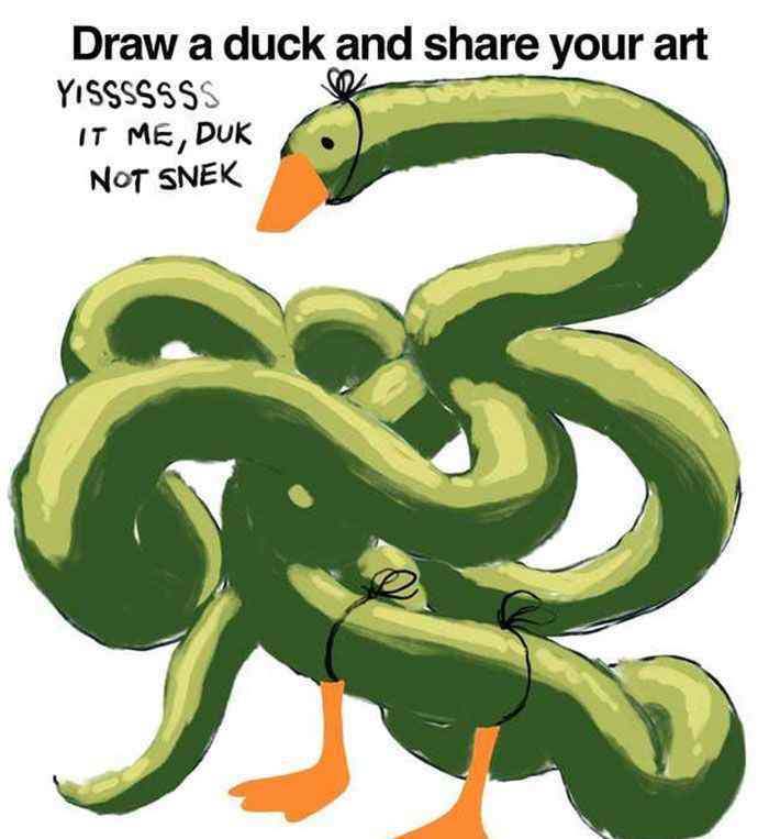 画鸭子 最近很火的“画鸭子挑战”，第一幅就喷了！