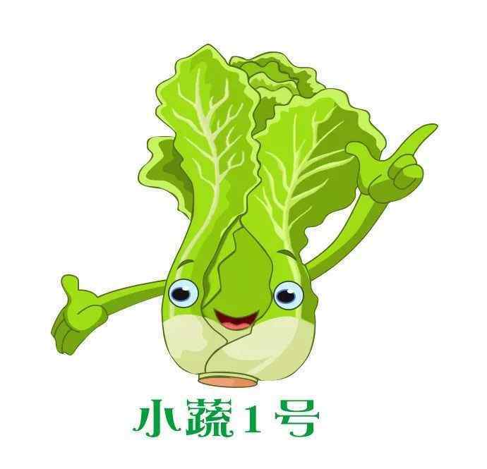 全国十大蔬菜基地 中国冬早蔬菜之乡！小小一个县，蔬菜年产值17亿，靠的竟是这四点！