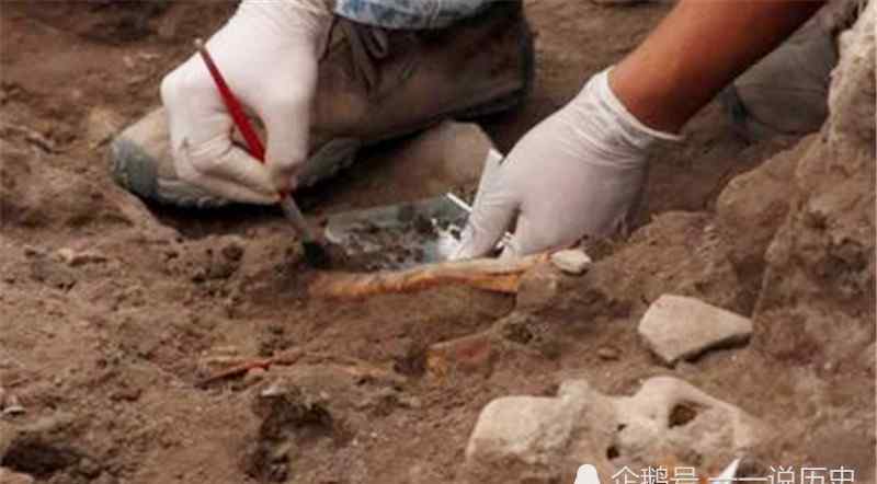 电鳐鱼图片 伊拉克考古挖出破罐子，随即轰动全球，专家：或被改写中国历史