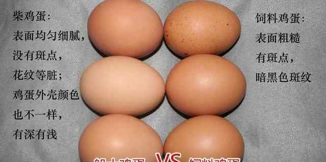 土鸡蛋和饲料鸡蛋营养价值一样吗 土鸡蛋同饲料鸡蛋的营养有没有差别？说出来你别不信