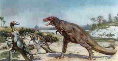 世界上最后的10只恐龙 地球上最后的恐龙