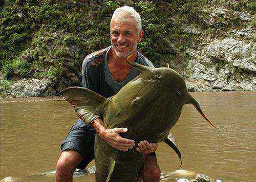 坦克鸭嘴鱼 世界第一巨鱼 体长可达5米