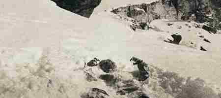 乌拉尔山事件 乌拉尔山神秘死亡事件 登山者集体死亡之谜